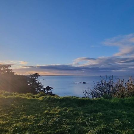Logement Plein Centre De Plerin A Proximite Des Plages Et Des Commerces Exteriör bild