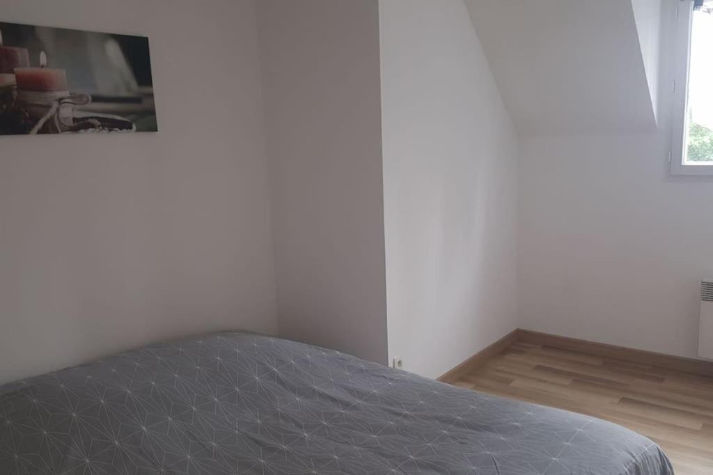 Logement Plein Centre De Plerin A Proximite Des Plages Et Des Commerces Exteriör bild
