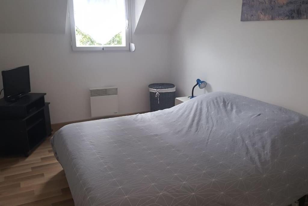 Logement Plein Centre De Plerin A Proximite Des Plages Et Des Commerces Exteriör bild